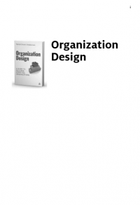 Organization Design : A Guide to Building Effective Organizations (E-Book)