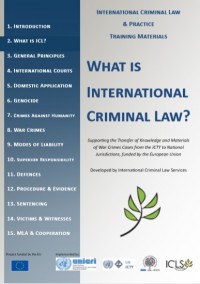Module 2 : What Is International Criminal Law? (E-Book)