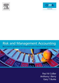 Risk and Management Accounting Best Practice Guidelines for Enterprise (E-Book)
