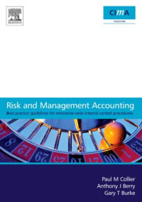 Image of Risk and Management Accounting Best Practice Guidelines for Enterprise (E-Book)
