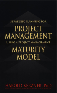 Image of Strategic Planning for Project Management Using a Project Management Maturity Model (E-Book)