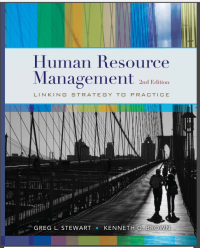Image of Human Resource Management : Linking Strategy to Practice Second Edition (E-Book)