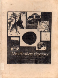 Image of The Aesthetic Experience : An Anthropologist Looks at the Visual Arts